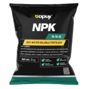 NPK 19 19 19 Water Soluble Fertilizer