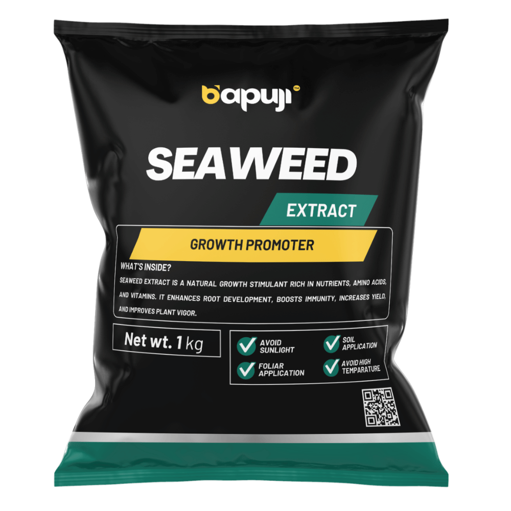 Seaweed Extract Powder